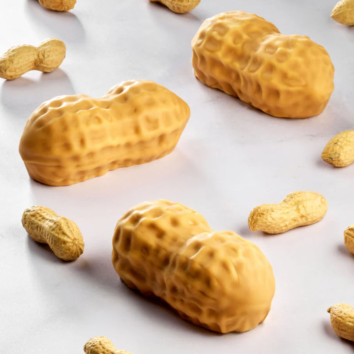 STAMPO IN SILICONE ARACHIDE PER MONOPORZIONI