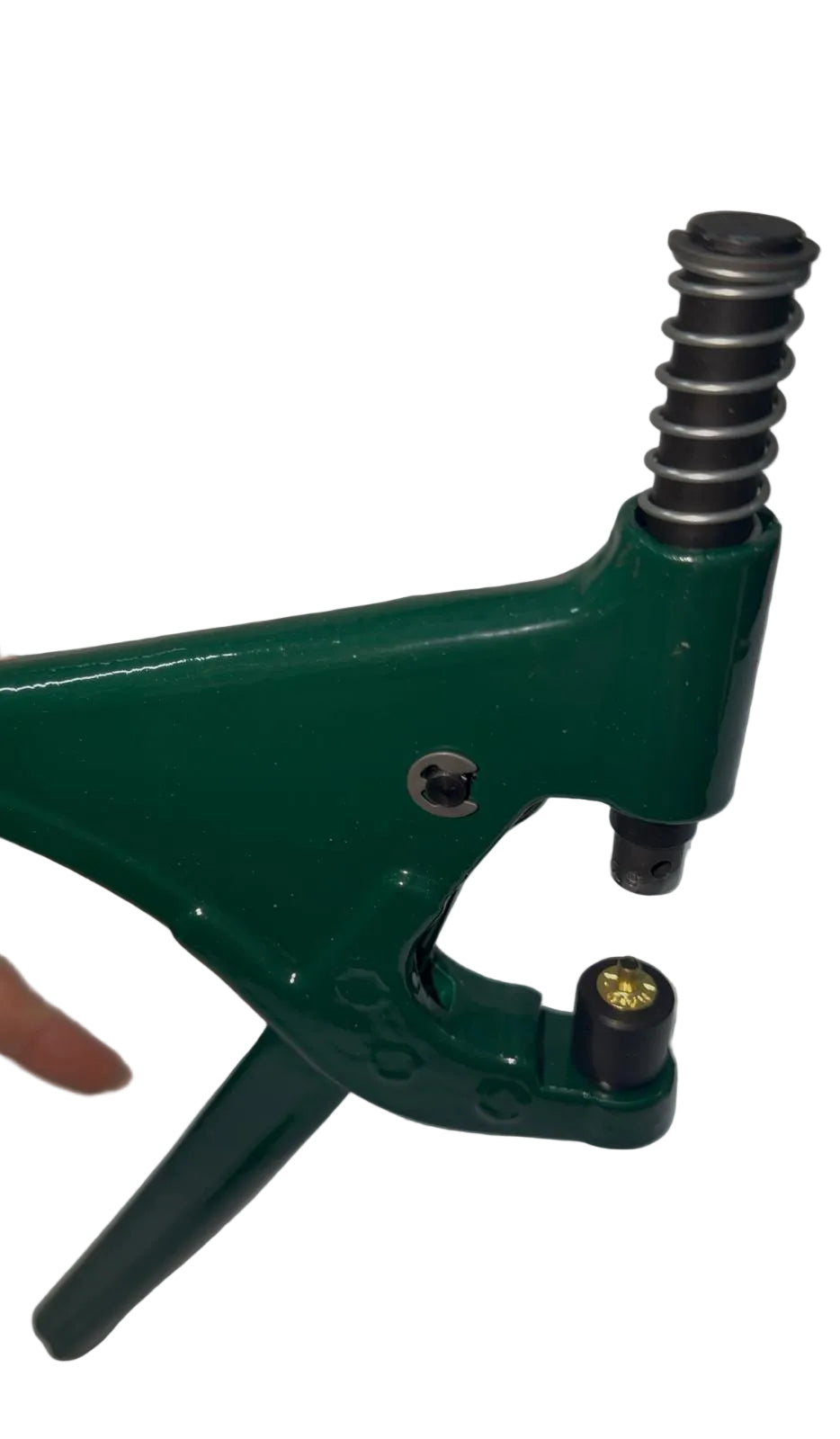 PINZA VERDE PER OCCHIELLI