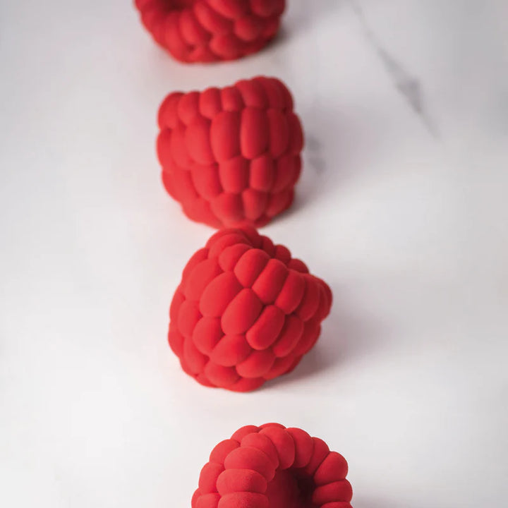 STAMPO IN SILICONE LAMPONE PER MONOPORZIONI