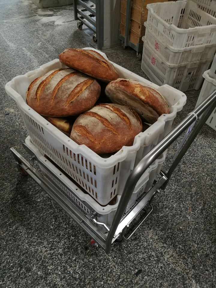 CARRELLO SOLLEVA CESTE - FLIPPER 130